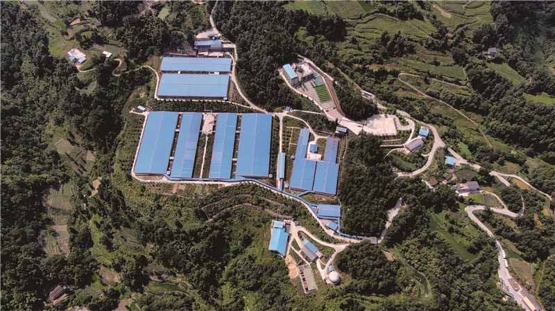 擴(kuò)繁場(chǎng)